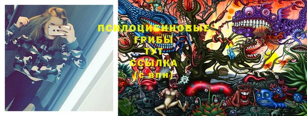 винт Весьегонск