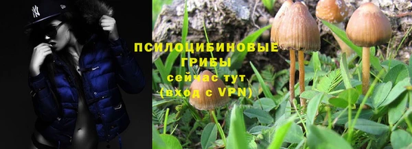 мескалин Осинники