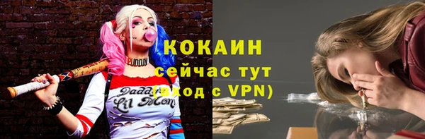 твердый Остров