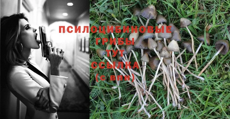 Псилоцибиновые грибы MAGIC MUSHROOMS Аксай